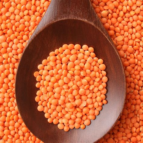 daal image|types of indian lentils.